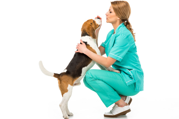 Widok z boku lekarza weterynarii w mundurze z cute beagle pies na białym tle - Zdjęcie, obraz