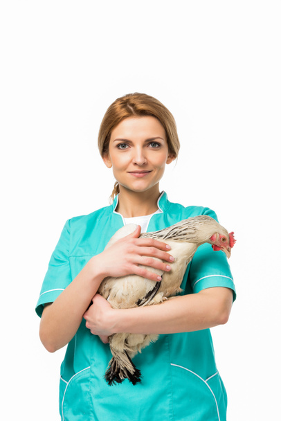 retrato de veterinario en uniforme sosteniendo pollo aislado en blanco
 - Foto, Imagen