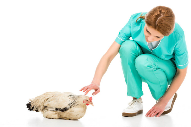 portrét veterinárního lékaře v uniformě s kuřetem izolované na bílém - Fotografie, Obrázek