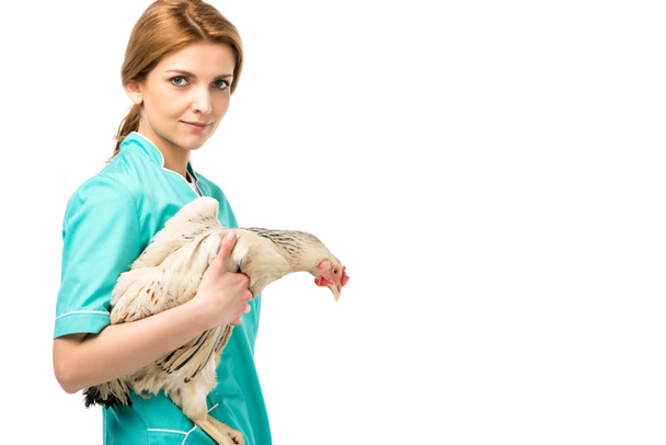 side view of veterinarian in uniform hooding chicken isolated on white - Foto, Imagen