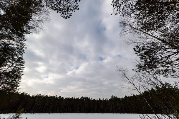 scène rurale hivernale avec neige et troncs d'arbres dans le froid
 - Photo, image