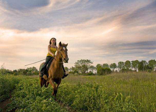 乗馬の女の子 - 写真・画像