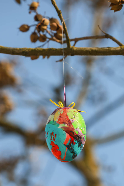 Uova di Pasqua decorate sull'albero
 - Foto, immagini