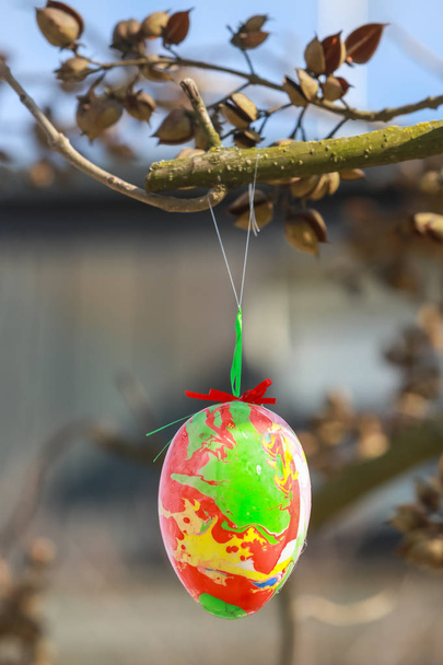 Украшенные пасхальные яйца на дереве
 - Фото, изображение