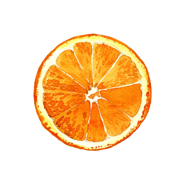 Orange cut watercolor painted isolated on white background. - Photo, Image