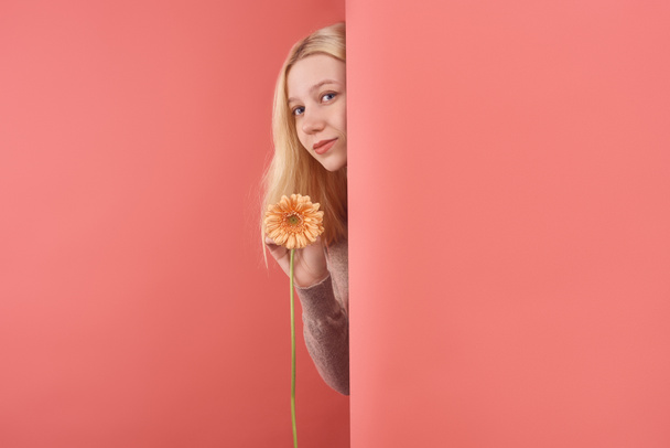 beautiful young woman with gerbera flower peeping behind wall on red - Photo, Image