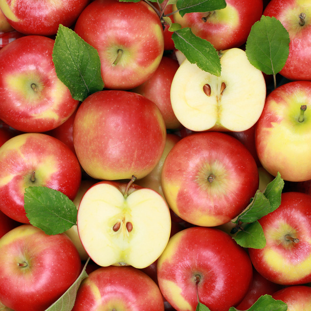 Punaiset omenat, joiden lehdet muodostavat taustan
 - Valokuva, kuva