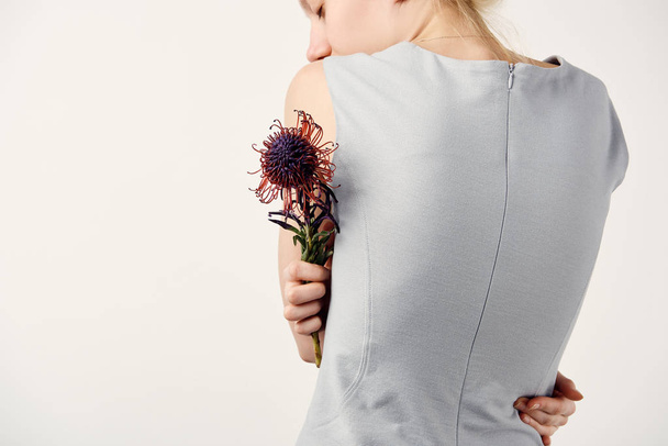 rear view of young woman with Leucospermum flower isolated on white - Φωτογραφία, εικόνα