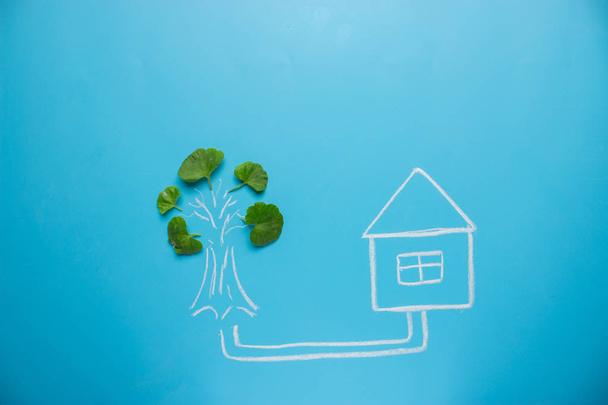 green house concept - Foto, imagen
