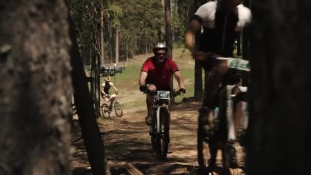 Bicyclists racing in forest behind trees on dusty road - Filmati, video