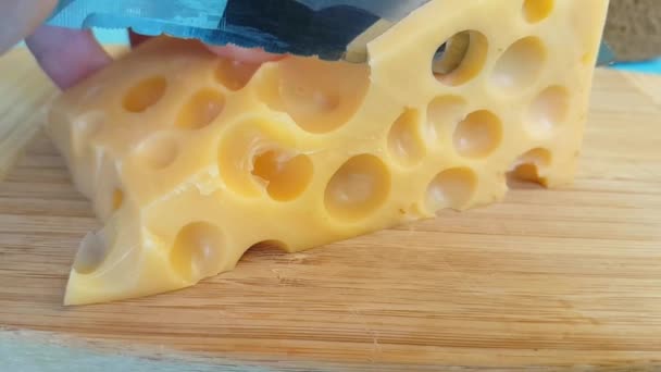 Swiss cheese is cut on a wooden board with a knife - Footage, Video
