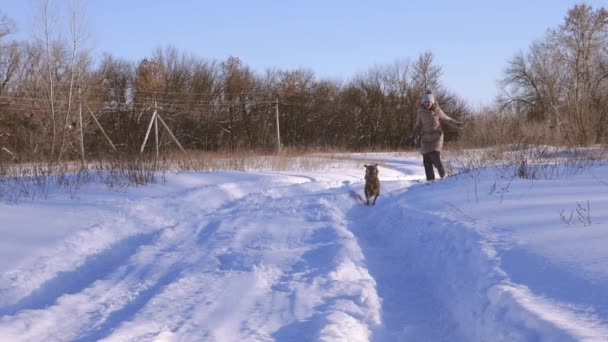 Szczęśliwa dziewczyna uruchomić na zaśnieżonej drodze, w parku z psem. Zwolnionym tempie. - Materiał filmowy, wideo