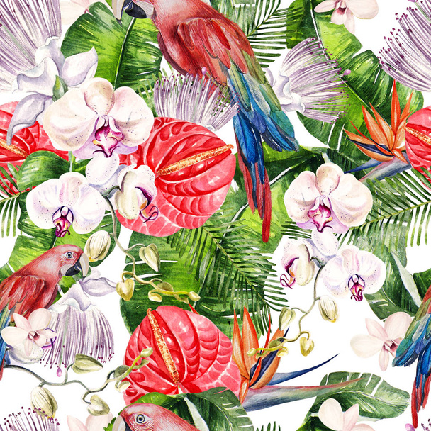 Kaunis akvarelli saumaton, trooppinen viidakko kukka kuvio tausta palmunlehtiä, kukka ruusuja, kaprikset, Antharium, strelitzia ja papukaijat
.  - Valokuva, kuva