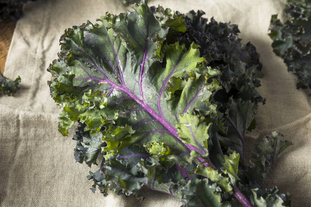 Organic Healthy Red Kale - Φωτογραφία, εικόνα