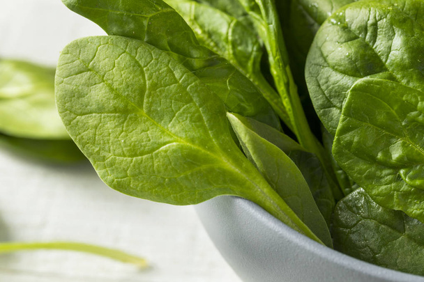 Raw Green Organic Spinach Leaves - Valokuva, kuva