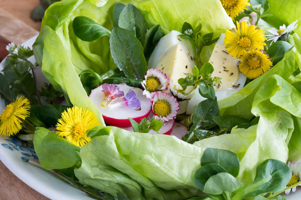 Detail jarní salát s vajíčky a divokých jedlých rostlin - Fotografie, Obrázek