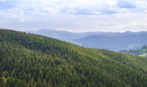 Carpathian mountains in summer - Photo, Image