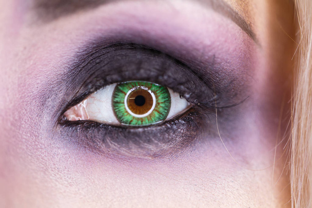 Crop of female eye with colorful make up.  - Photo, Image