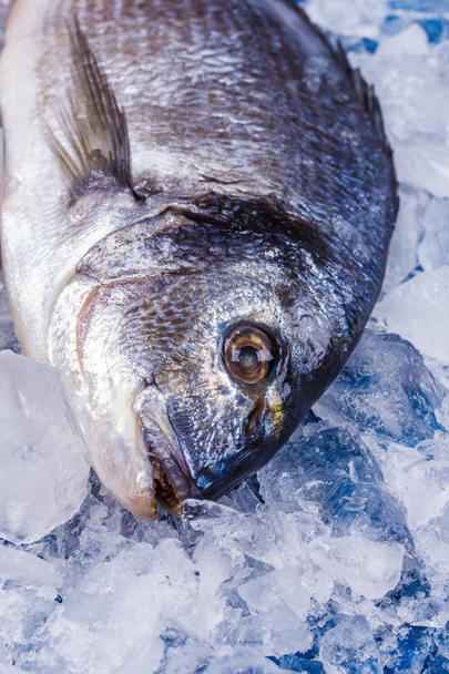 Carcasa de pescado Dorado sobre un cojín de hielo sobre una mesa azul de cerca
 - Foto, imagen
