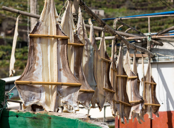 Peixes de gato ou bacalhau em Camara de Lobos, Madiera
 - Foto, Imagem