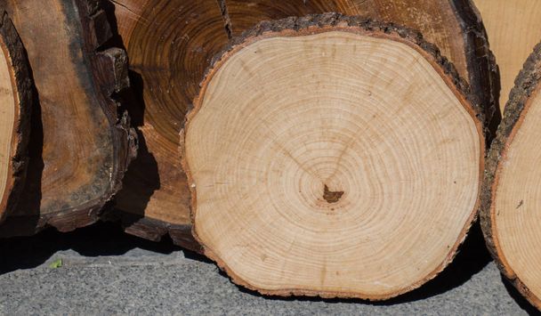 piccolo pezzo di tronchi di legno tagliato utilizzato per lo sfondo struttura del legno - Foto, immagini