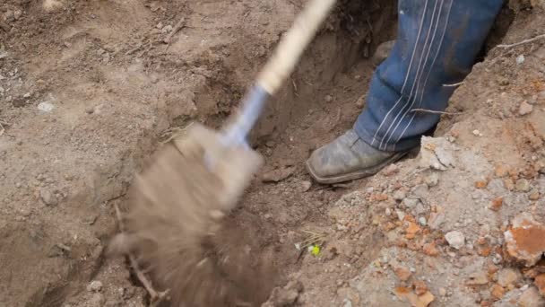 Primer plano de cavar una zanja con una pala en tierra arcillosa seca
 - Metraje, vídeo