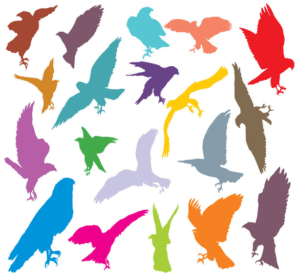 Set van kleurrijke eagle silhouetten-2 - Vector, afbeelding