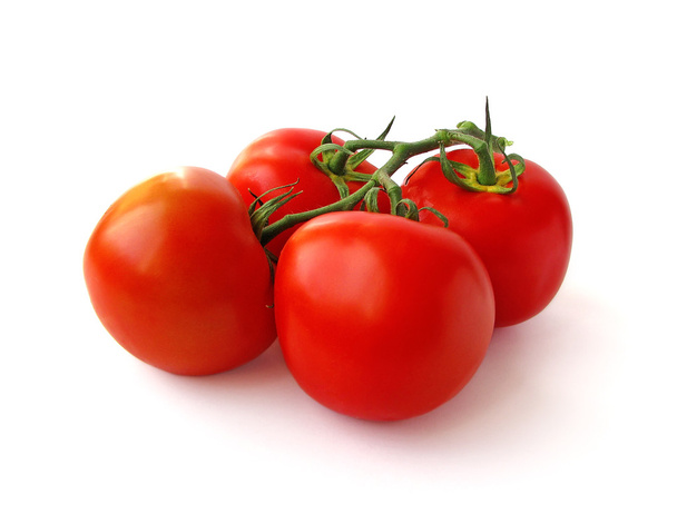 Tomatoes on branch isolated on white background - Photo, image