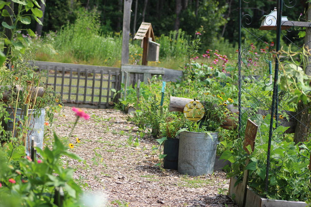 Community Gardens yield more than just fresh fruits and vegetables: they build friendships, provide recreation and promote physical activity while they also foster civic pride and sometimes even unity amongst neighbours.  - Photo, Image