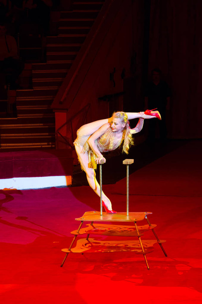 Tour of Moscow Circus named after Nikulin. Caoutchouc (number performed by Alesya Laverycheva) - Foto, immagini