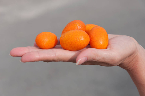 Girl holding a handful of ripe kumquat on gray background, top view - Foto, afbeelding