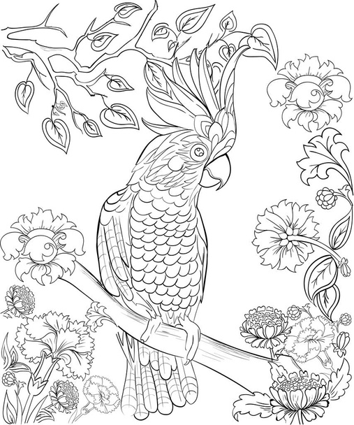 Cockatoo parrot for coloring book. Anti-stress coloring for adult. Tattoo stencil. Zentangle style. Black and white lines. Lace pattern. Vector illustration on white background - ベクター画像