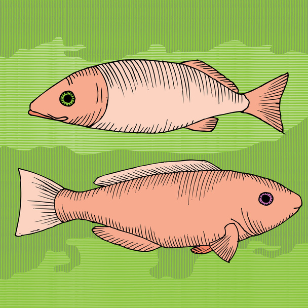 Dois peixes
 - Vetor, Imagem