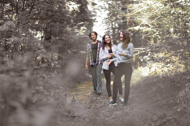 creative team, while Hiking in the woods - Foto, Bild