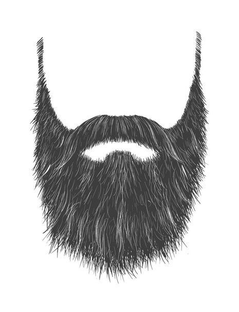 hosszú szürke szakáll - Vektor, kép