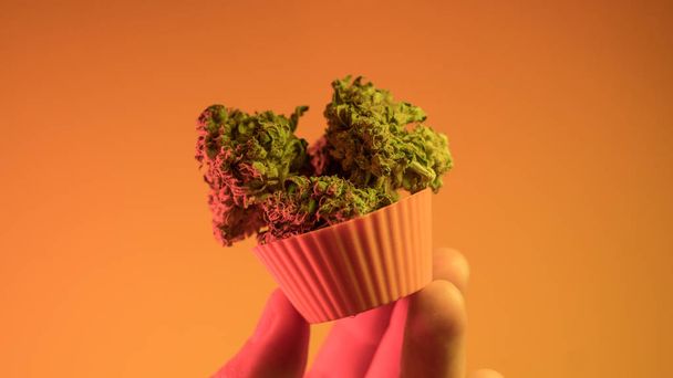  ψήσιμο cupcakes και μπισκότα από ιατρική μαριχουάνα γκρο πλαν - Φωτογραφία, εικόνα