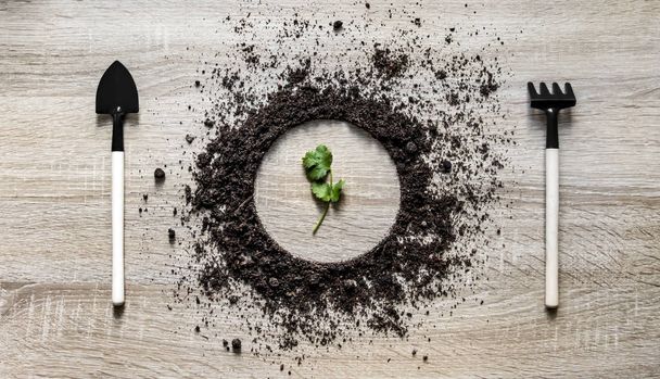 wood background concept ground piled circle dish spoon fork fork rake laying texture planting sprout green leaf flower  - 写真・画像