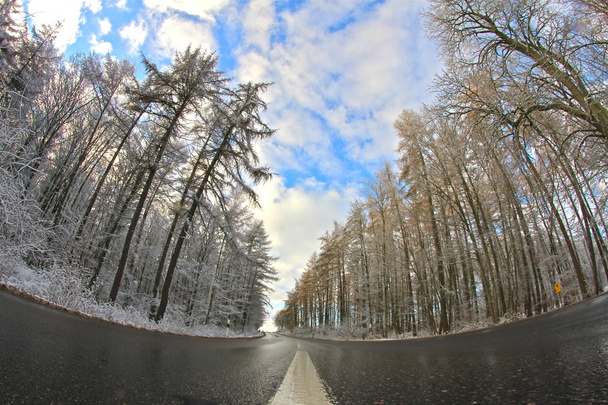 straat in de winter - Foto, afbeelding