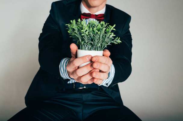 man holding plant in hands - Photo, image