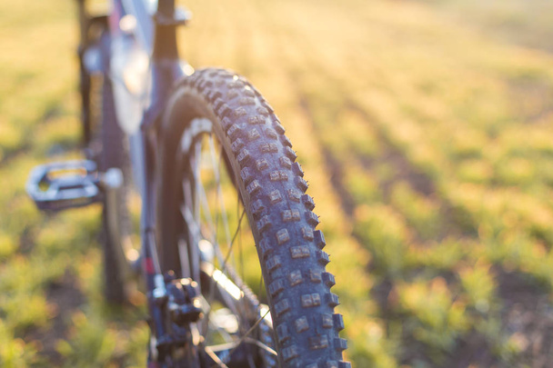 Close-up em uma bicicleta na parte de trás, Mountain Bike Protector
 - Foto, Imagem