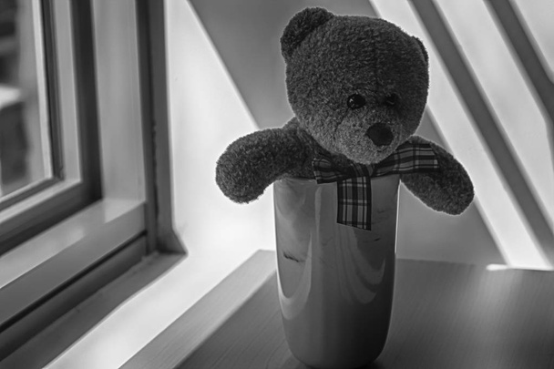 Brinquedo de urso com copo sentado à janela em sombras
 - Foto, Imagem