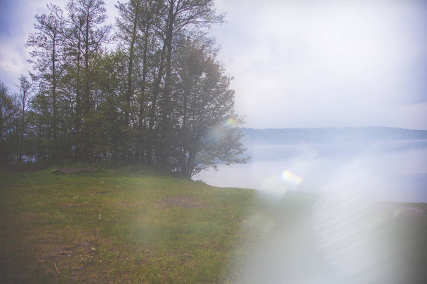 Tempo piovoso con nebbia e nebbia al lago con albero
 - Foto, immagini