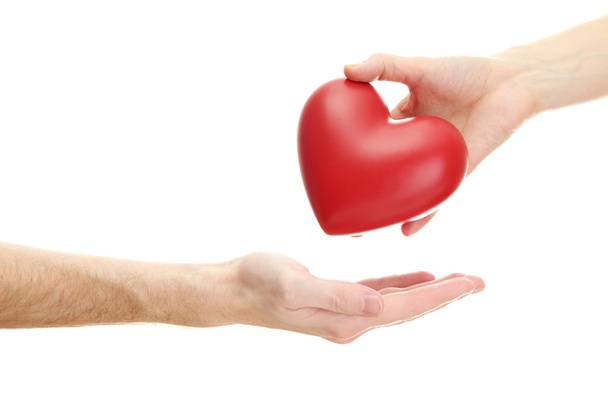 Červené srdce v rukou žena a muž, izolované na bílém - Fotografie, Obrázek