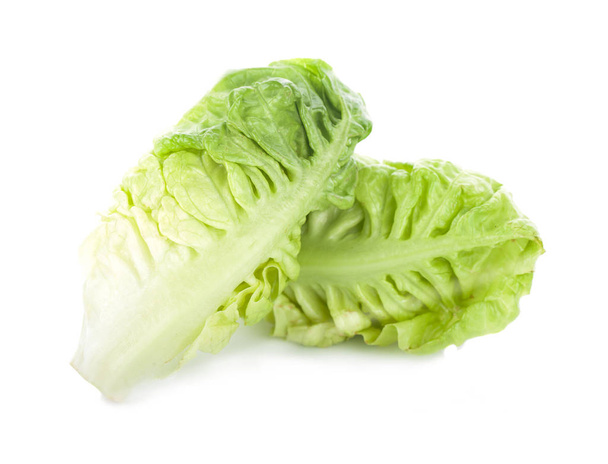 fresh baby cos (lettuce) on white background - 写真・画像
