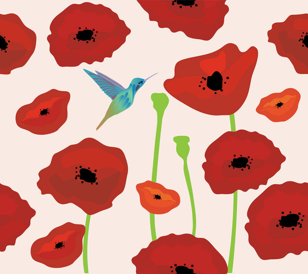 Poppies Background With Hummingbird - Vector, Image