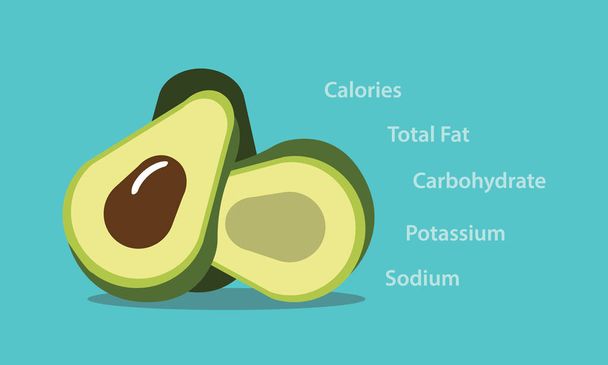 Avokado beslenme öğe sağlıklı gıda vektör grafik illüstrasyon - Vektör, Görsel