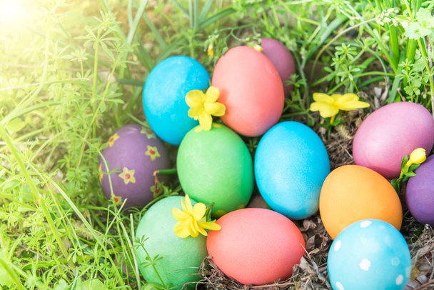 Domingo de Pascua, feliz Pascua, huevos coloridos de Pascua caza decoraciones navideñas fondos concepto de Pascua con espacio de copia
 - Foto, imagen