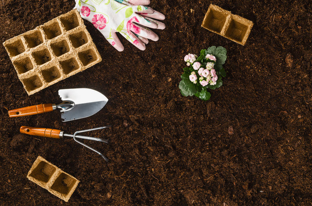 Gardening tools on garden soil texture background top view - 写真・画像