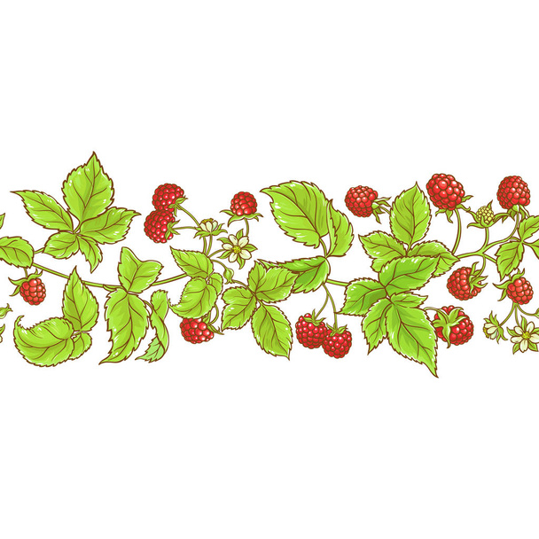 aspberry branch vector pattern - Vecteur, image