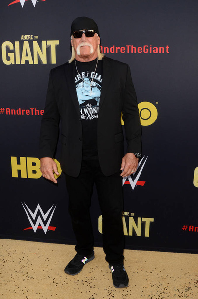 actor Hulk Hogan - Photo, Image